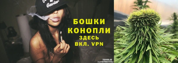 тгк Майский