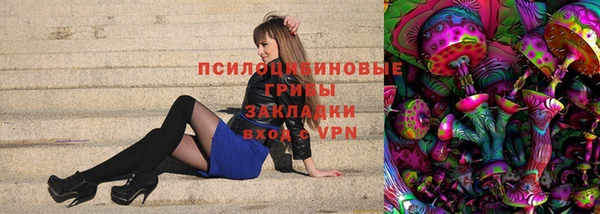 ECSTASY Долгопрудный