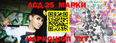 молекула духа Камышлов