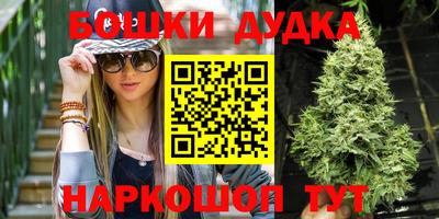 шишки Кандалакша