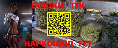 шишки Кандалакша