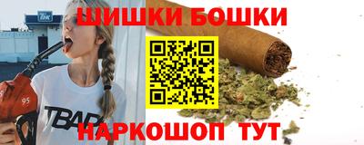 шишки Кандалакша