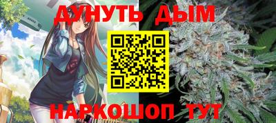 шишки Кандалакша