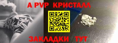молекула духа Камышлов
