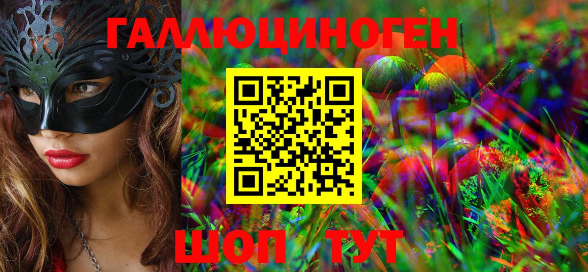 Галлюциногенные грибы ЛСД Новоалександровск