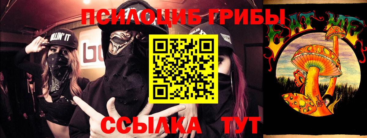 Псилоцибиновые грибы Psilocybe  Вход с VPN  Псилоцибиновые грибы MAGIC MUSHROOMS  Новоалександровск 